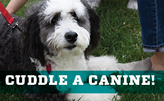 Join us outside Zimmerman Library for Cuddle a Canine on Oct 24